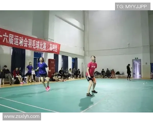 南京羽毛球队转型之路的挑战与机遇全景报道